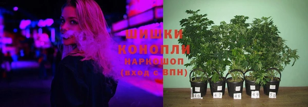 прущий лед Белокуриха