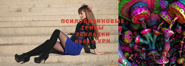 прущий лед Белокуриха