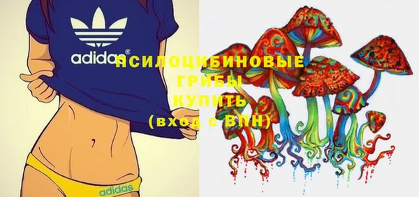 прущий лед Белокуриха