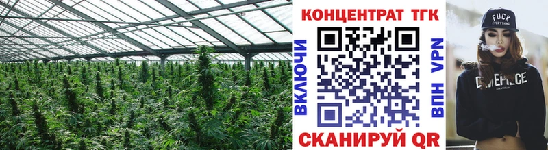 ТГК жижа  где найти наркотики  KRAKEN ссылки  Ершов 