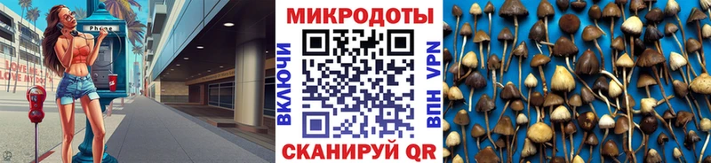 Галлюциногенные грибы GOLDEN TEACHER  наркотики  Ершов 